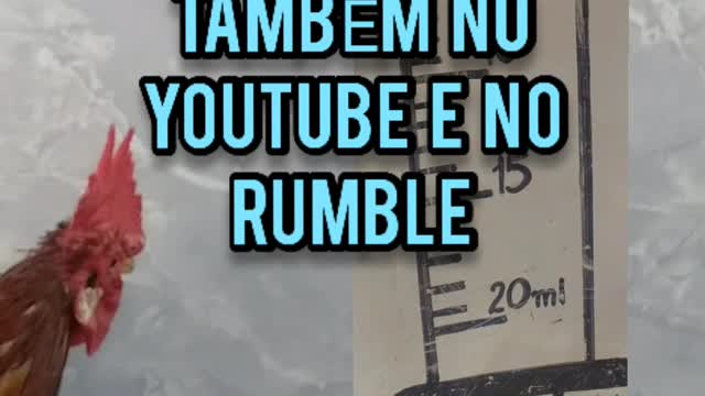 ROSTER RAMBO RUMBLE ROCKY BALBOA