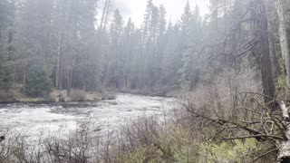 Wilderness Exploring – Metolius River – Central Oregon – 4K