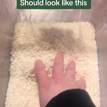 “注意”無毒洗衣粉/液 問題!請使用Arm & Hammer 以外的品牌，因為在被比爾蓋茲、凱蒂佩芮及其他不值得信任的人物購買後，它現在含有“鋁”（神經毒性）