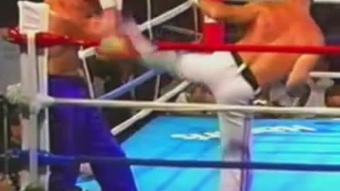 Bill Superfoot Wallace