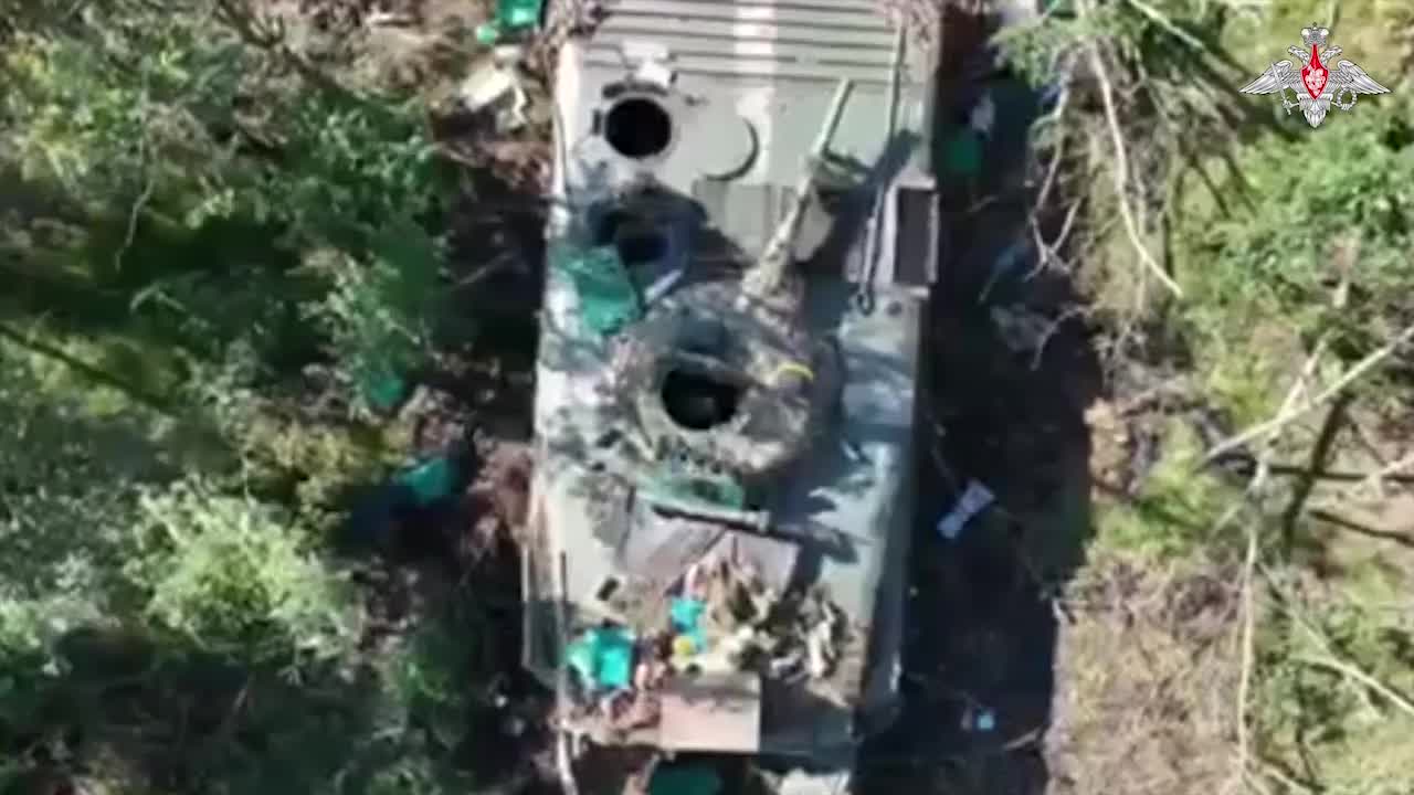 deNAZIFICATION - Russian paratroopers eliminate enemy sabotage groups sheltered in forest belt