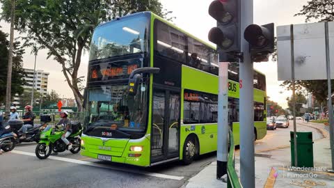 Bus Spotting and Train Spotting in Singapore-March/2022-May/2022