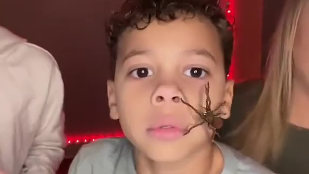 Spider filter prank gone wrong..