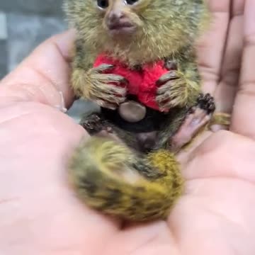 Happy Monday everyone 😊😊😍