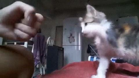 High five:Дай пять