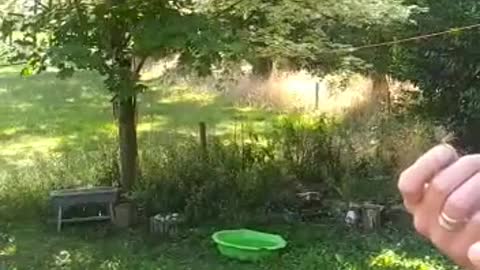 Mother Earth - Gaia Sophia - Universe - God -Q