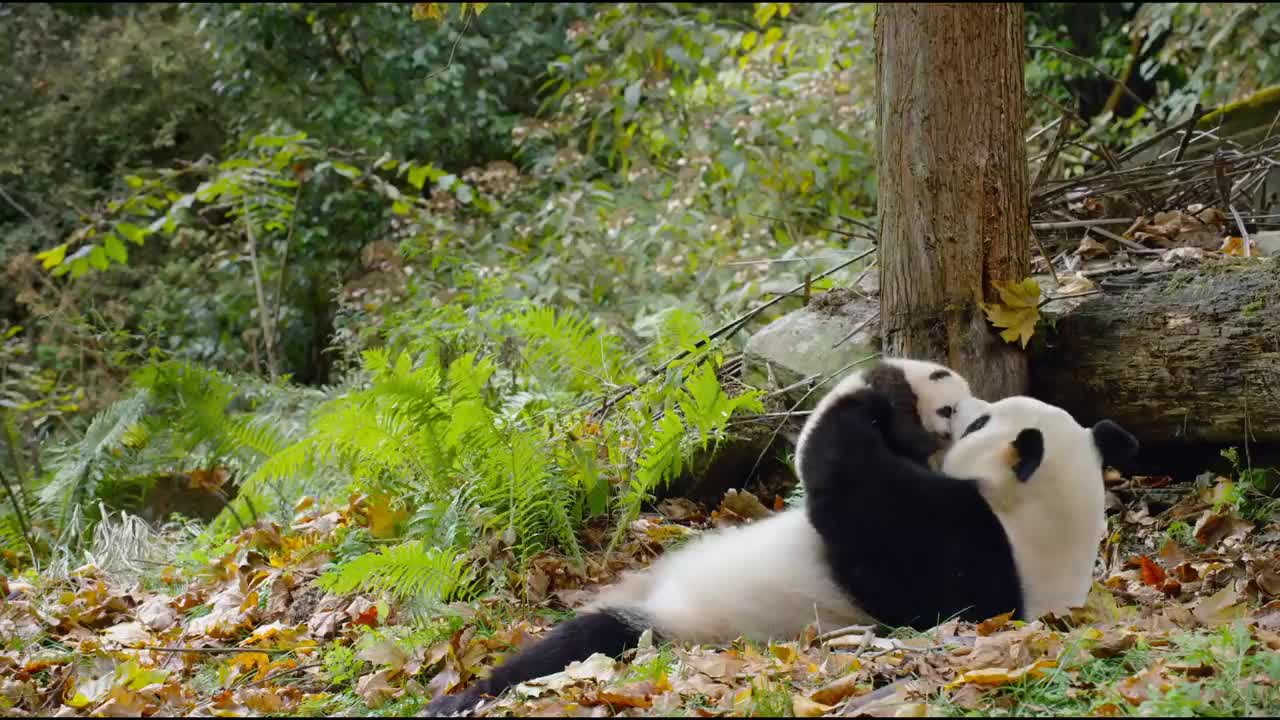 Awesome Nature and his Beauty