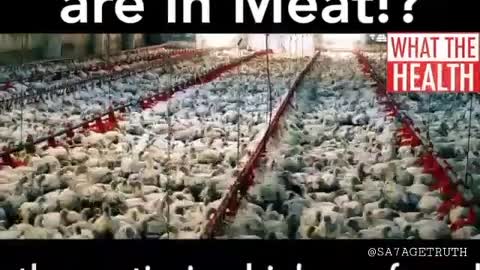 What drugs are in our meat?