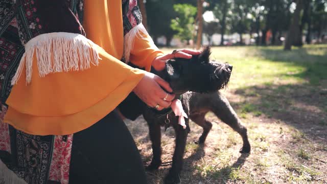 En la tranquilidad del ambiente junto a su mascota