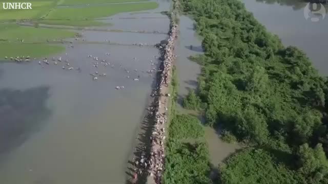 Drone footage shows Rohingya refugees entering Bangladesh