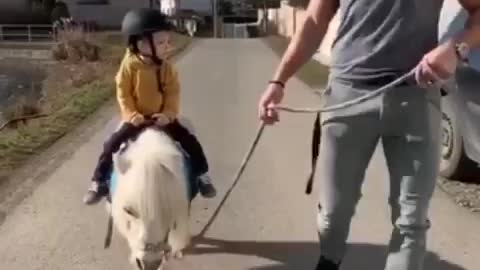 Little girl riding on baby horse