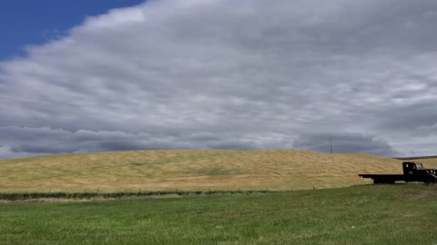 Amber Waves of Grain