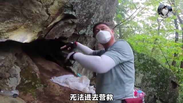 男子带狗爬山，结果出现意外，在他要放弃时出现奇迹了#萌宠