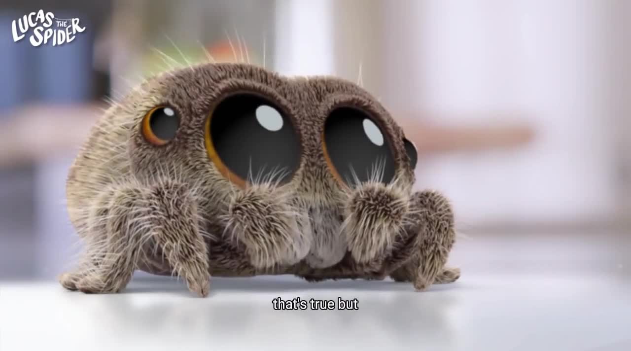 Lucas the Spider2