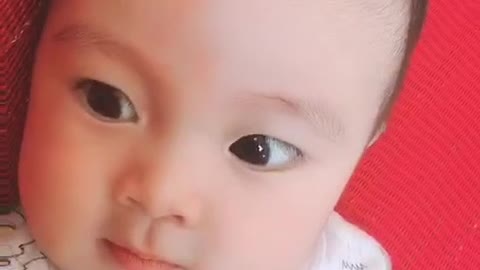 Parents' darling