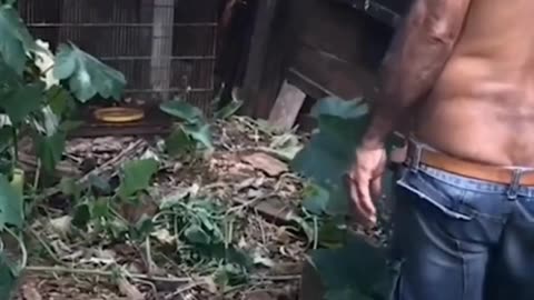 The end 😂😂😂 #funny #fails #viral #shorts #justlaughfolder