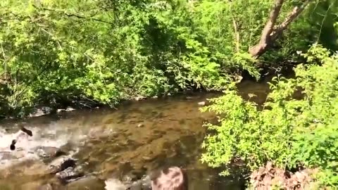 funny videos - best fail of the week