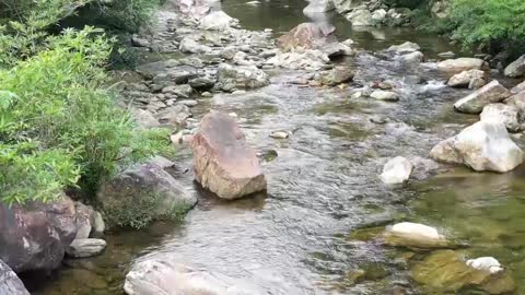 Music to meditate and relax your mind