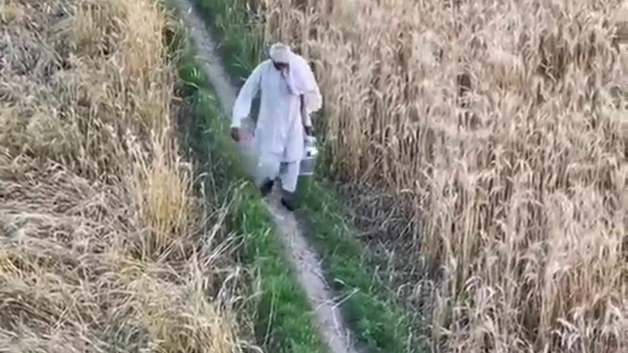Village life