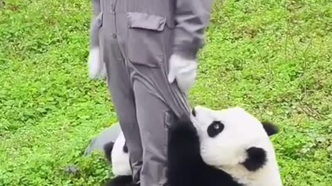 OMG 😱 cute animal 😍😘