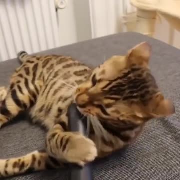 When you love vacuuming