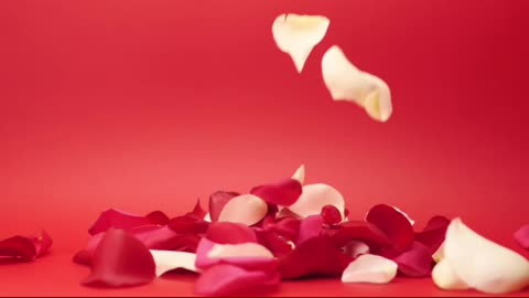 happy promise day | celebrate happy promise day