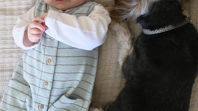 Toddler and puppy are bestfriends