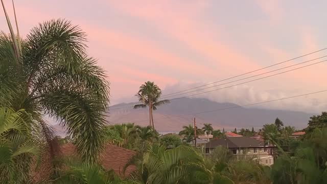Good morning from Maui. Wishing you a Monday and a great week ahead