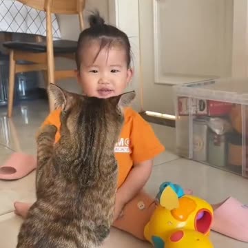Cat vs baby Harmony in Play: The Tale of a Cat and a Cute Baby"