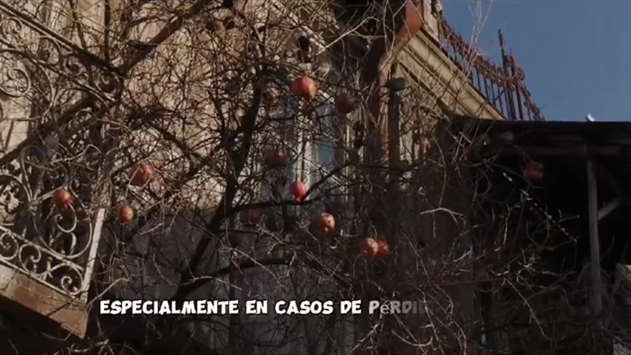 Conoce la fruta Granada o Pomegranate y sus beneficios