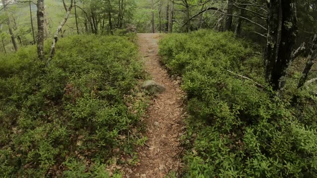 Mountain Biking Red Ridge Link 8/16/2022