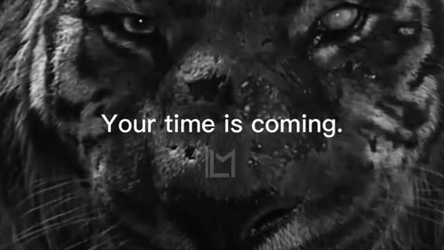 Your Time is Coming!!! Watch and Learn!