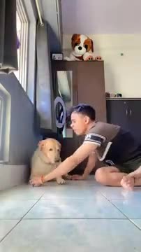 funny- comedy- viralvideo