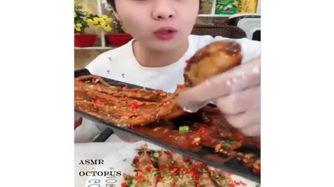 Street food | EATING OCTOPUS compilation 17 - Eating show 61