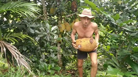 Jackfruit is good for you