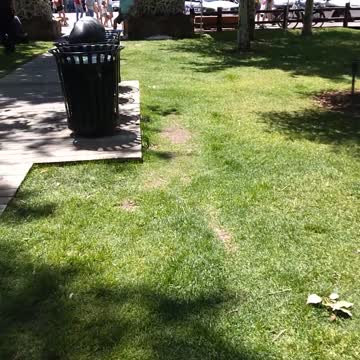 Jackson Hole Wyoming