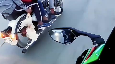 Zx10r public reaction
