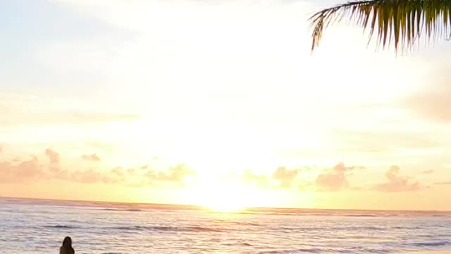 tropicalislandslipandslide