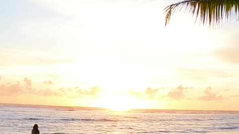 tropicalislandslipandslide
