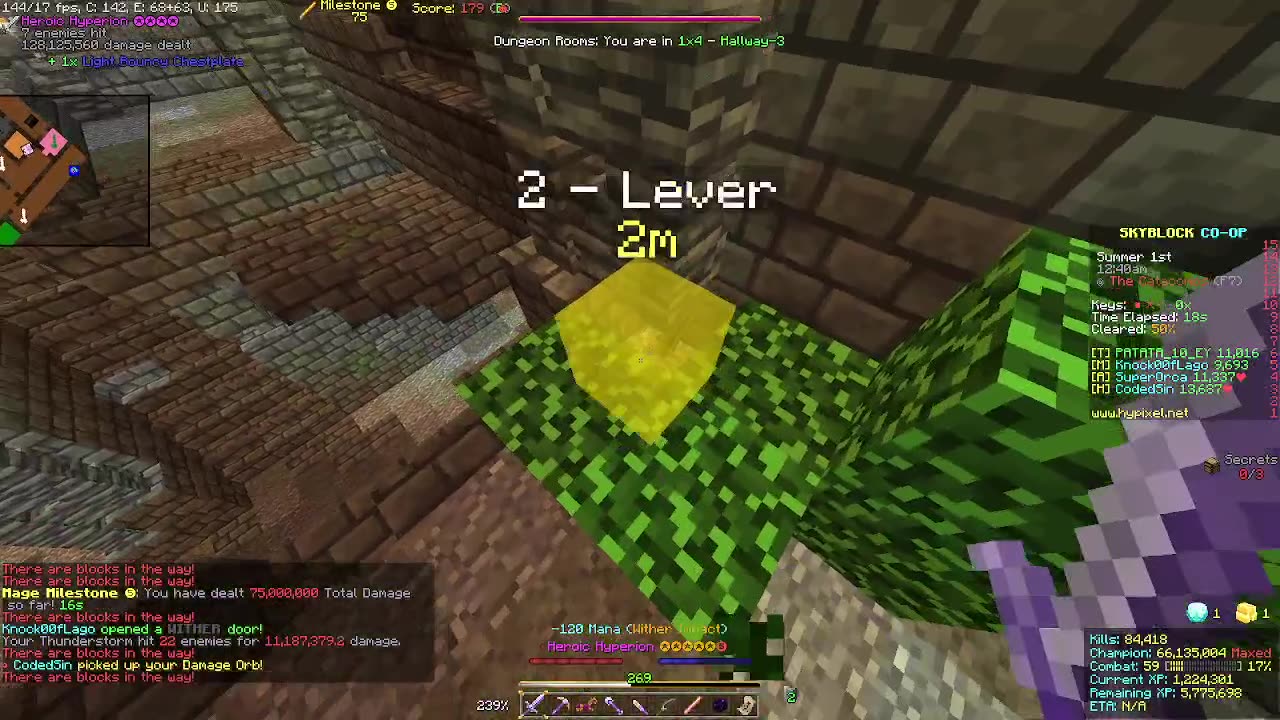 Skyblock FLOOR 7 [#33]