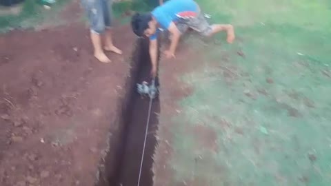 Corrida de galinhas