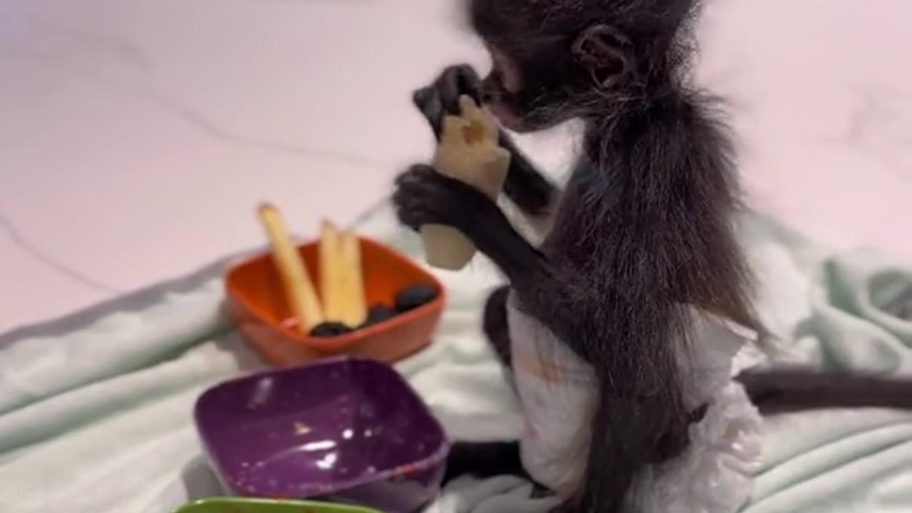 Breakfast 🍌🥨🍎Baby Monkey