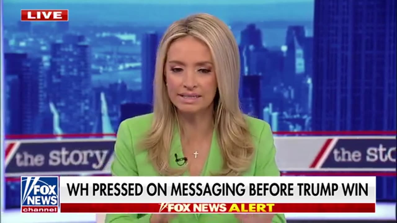 Kayleigh McEnany: Americans have ‘whiplash’ over anti-Trump rhetoric