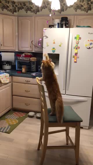 Carson H. Getting in Boxing Match