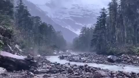 the valley