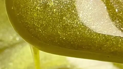 Sexy Smooth Wax