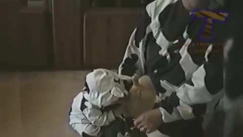 TRY NOT LAUGH OR GRIN WHILE WATCHING FUNNY