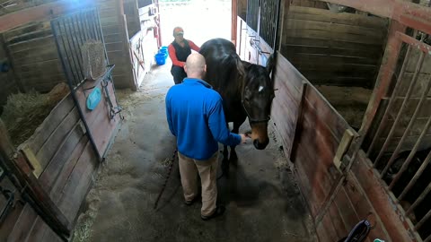 Chiropractor adjusting the big guy