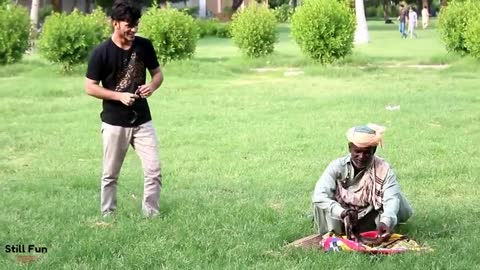 Snake funny video