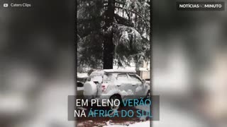 Neve cai em pleno verão na África do Sul